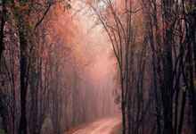 巅峰国际官网：近8个赛季年年折桂，羽坛仅她一人，这位奥运冠军用夺金诠释信心.