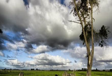 徐一璠／杨钊煊组合逆转晋级澳网女双第二轮央视体育.