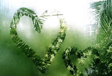 中超第3轮国脚出场统计：总体出勤率偏低，年轻人表现更佳.