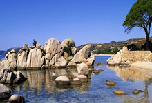 印第安维尔斯站郑钦文晋级16强 王欣瑜不敌佩古拉.